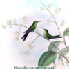 Monatskalender "Wundersame Tierwelt - 2023"