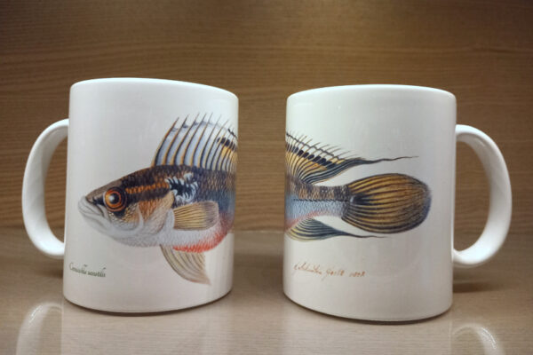 Tasse "Buntbarsch"