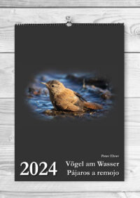 Monatskalender "Vögel am Wasser - 2024"