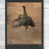 Monatskalender "Vögel am Wasser - 2024" – Bild 2