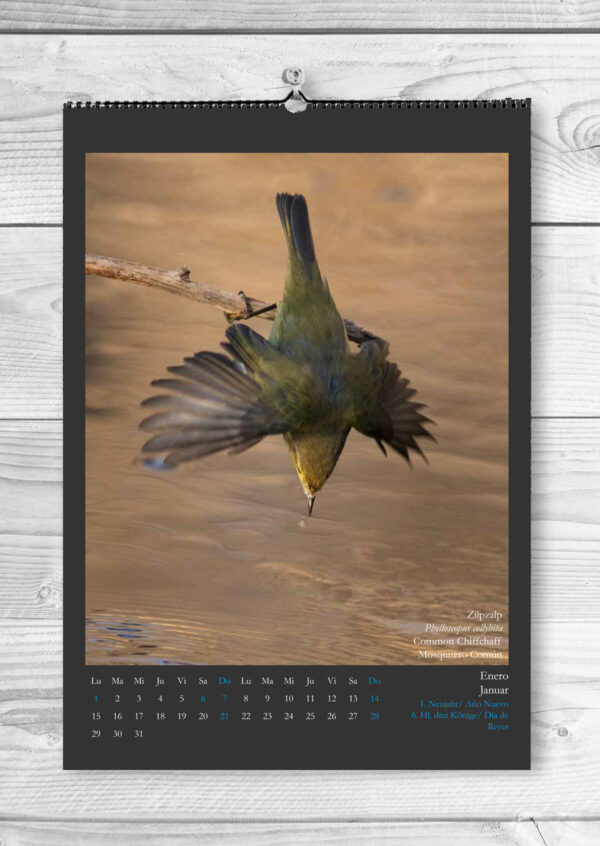 Monatskalender "Vögel am Wasser - 2024" – Bild 2
