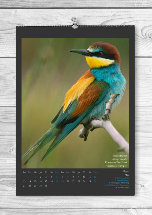 Monatskalender "Vögel am Wasser - 2024" – Bild 3