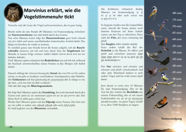 FederFlieger - Spannende Geschichten von listigen und lustigen Vögeln – Bild 6