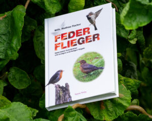 FederFlieger, fünf Geschichten von lustigen und listigen Vögeln