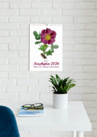 Monatskalender Pflanzen "Neophyten 2026"