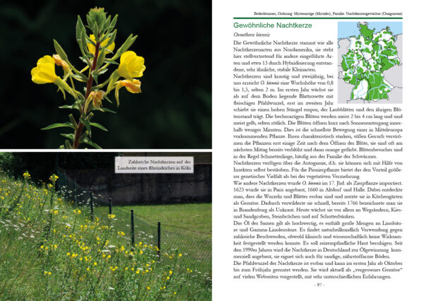 Unsere Exoten - Pflanzen, Pilze und Tiere als Neubürger in Deutschland - Sequoia Verlag 20205