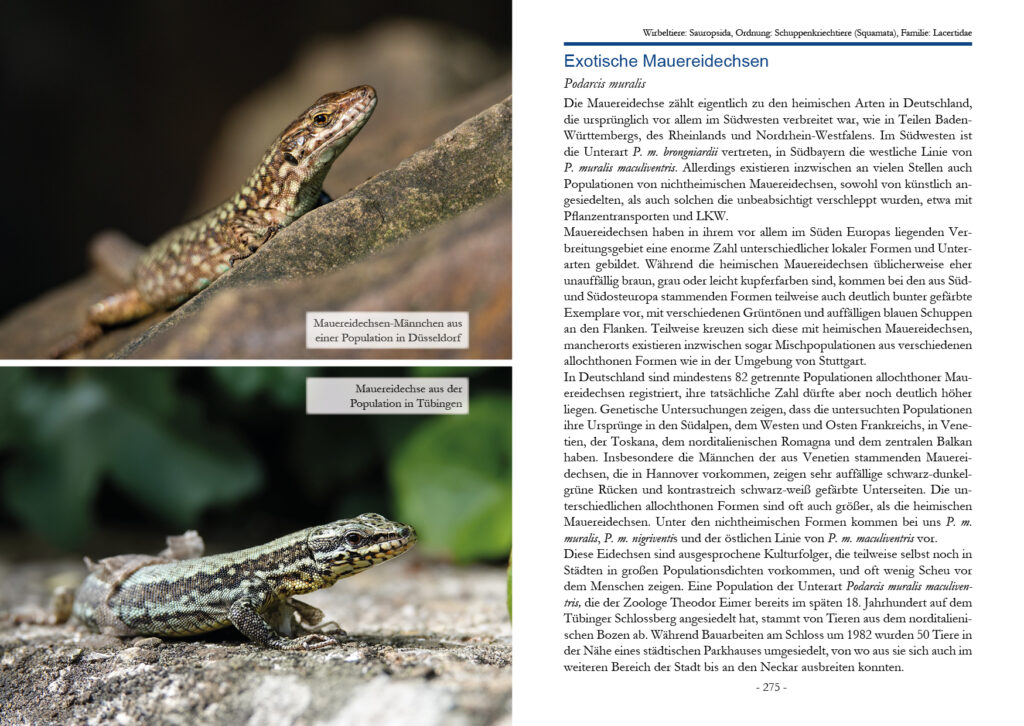 Unsere Exoten - Pflanzen, Pilze und Tiere als Neubürger in Deutschland - Ausschnitt - Sequoia Verlag
