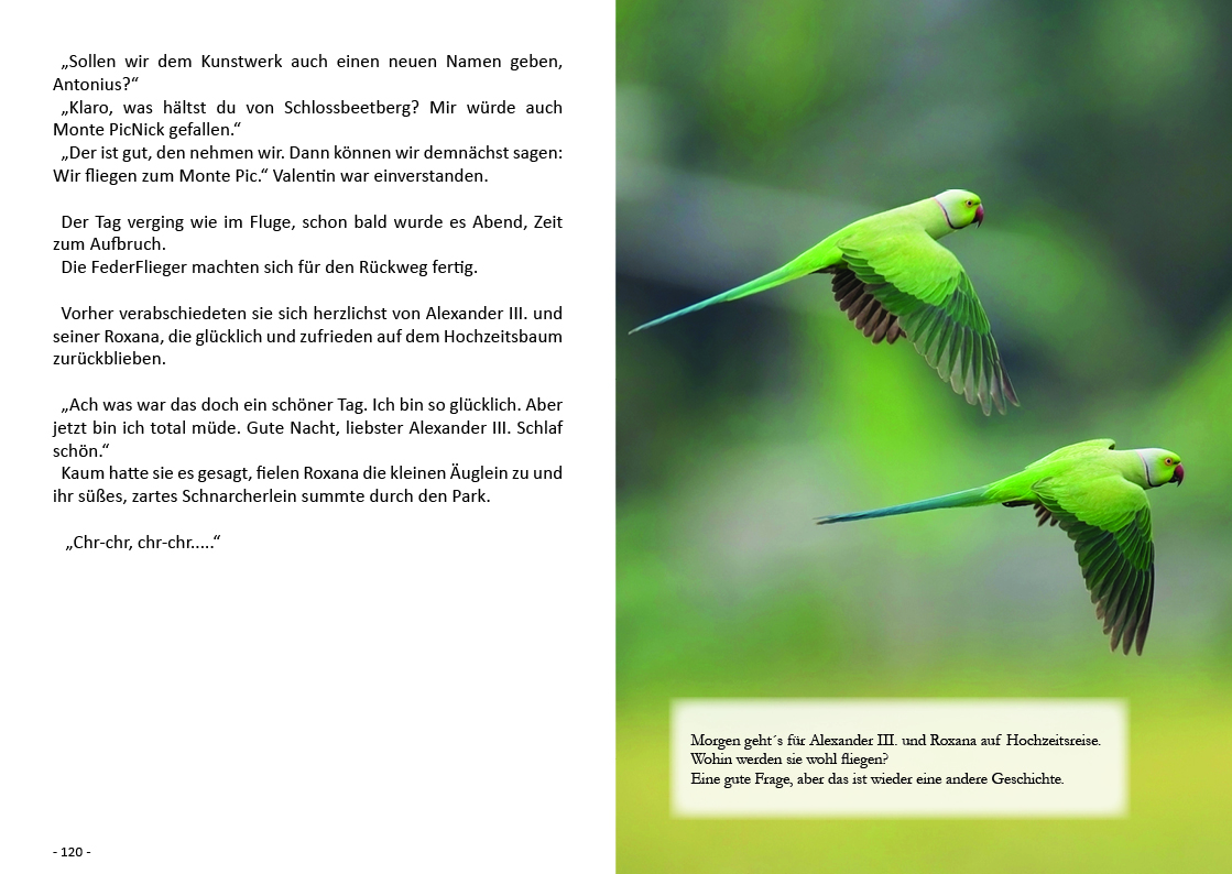 FederFlieger 2 - Die neuen Abenteuer – Bild 7