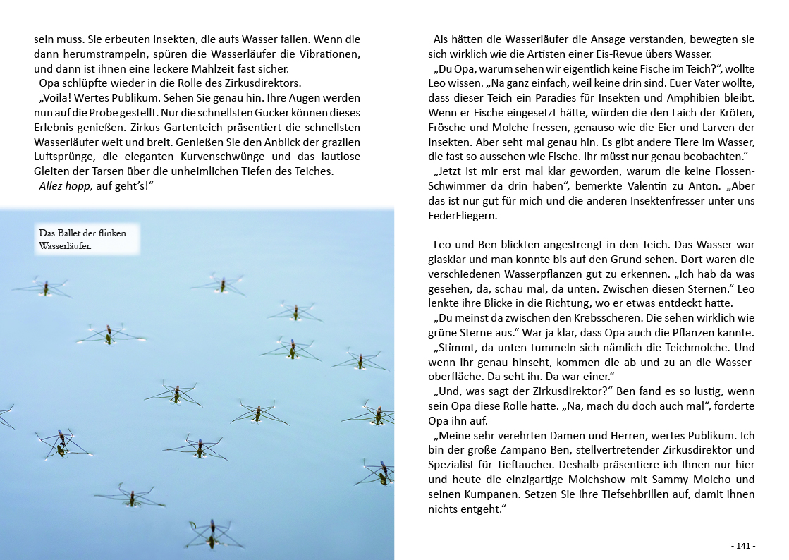 FederFlieger 2 - Die neuen Abenteuer – Bild 8