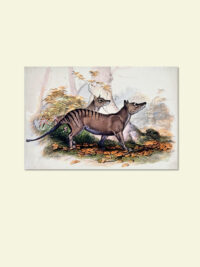 Kühlschrankmagnet "Beutelwolf"
